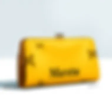 Magnificent The Art of Personalized Fashion: Customized Clutch with Name