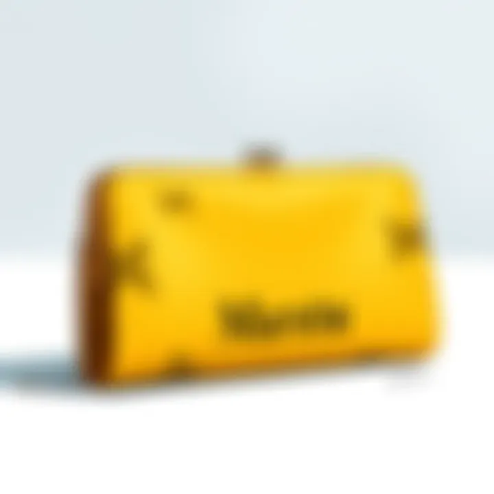 Magnificent The Art of Personalized Fashion: Customized Clutch with Name