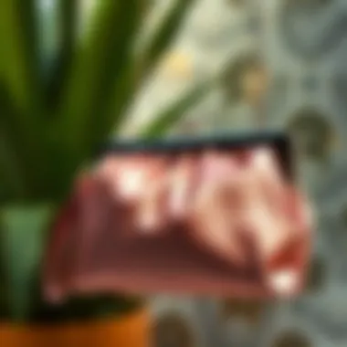 Magnificent The Silk Clutch Purse: An Exploration of Elegance and Utility