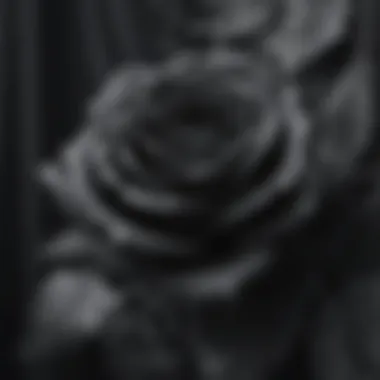 Intricate Black Rose Design on Fabric Close-up of intricate black rose design on fabric