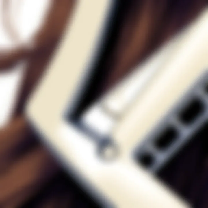 Close-up of double prong mechanism in hair clips