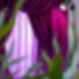 Elegant purple curtain draping in a fashion studio