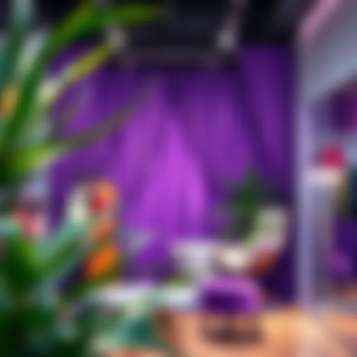 Stylish retail space adorned with purple curtains