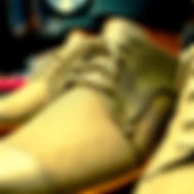 Close-up of finely crafted shoe materials