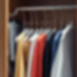 Stackable clothes hangers organizing a closet