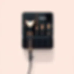 Sleek wall-mounted hair tool organizer