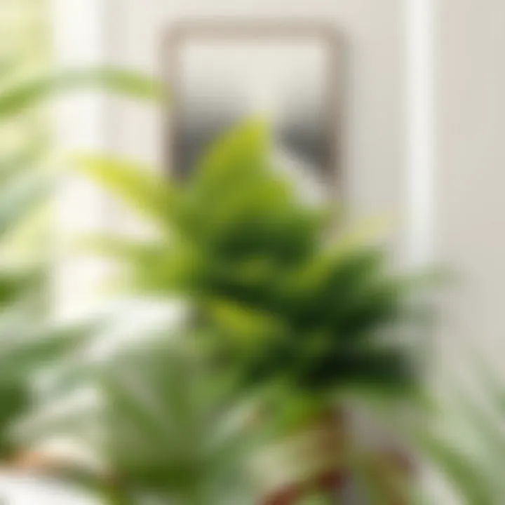 Stylish arrangement of imitation Boston ferns in a sustainable home design