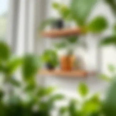 Integrated Indoor Planter Shelf Design Creative design of an indoor planter shelf integrated with decor