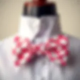 Elegant display of a pink plaid bow tie on a neutral background