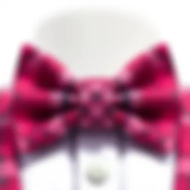 Intricate Design of Pink Plaid Bow Tie Close-up of the intricate design of a pink plaid bow tie