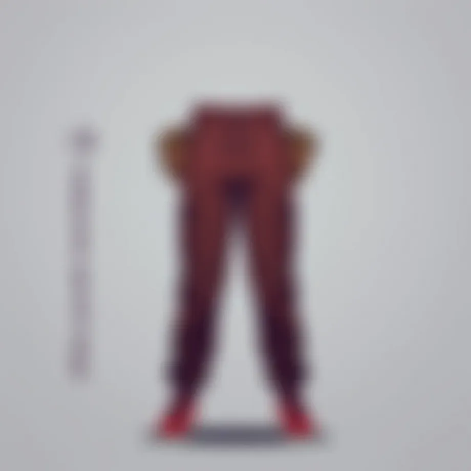 Zipper Pocket Sweatpants: A Comprehensive Exploration Introduction
